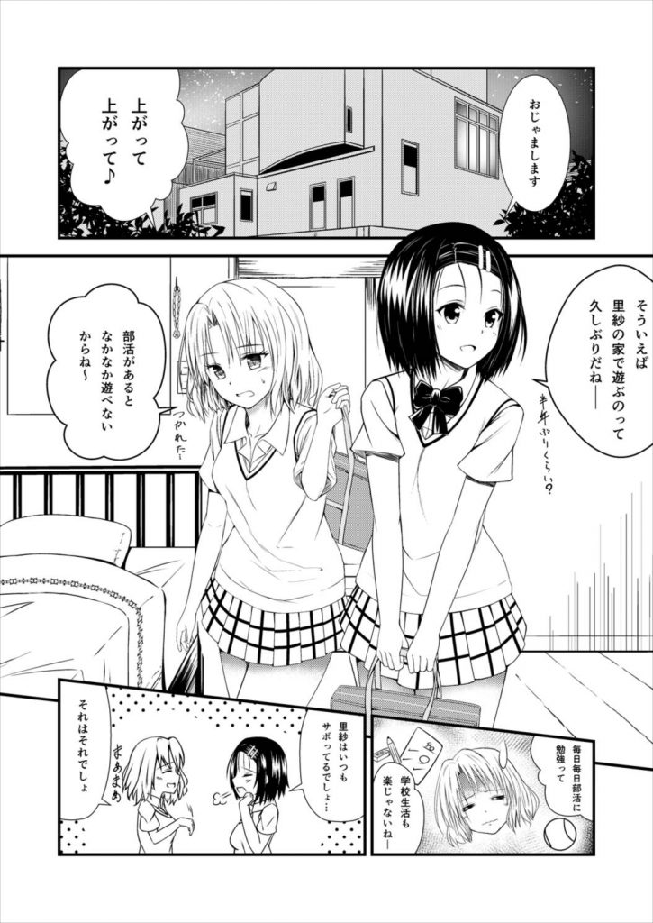 西連寺春菜と籾岡里紗のレズ作品っす！！【ToLOVEる！・百合同人誌】