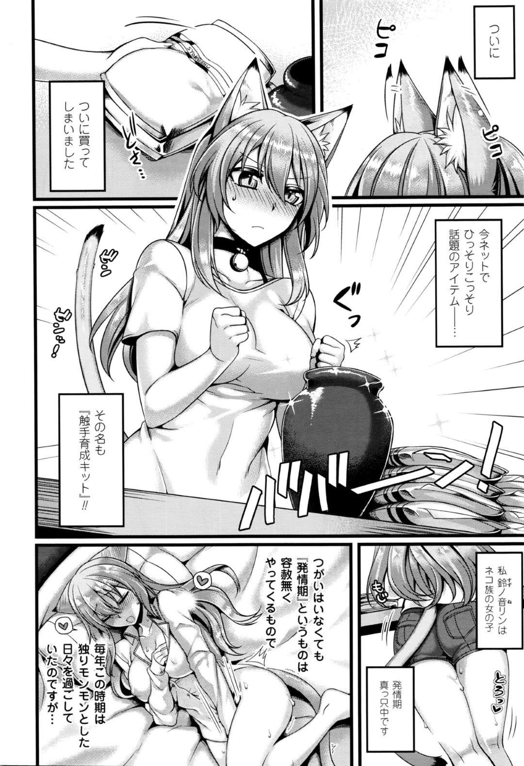 【エロ漫画】ついに話題の触手育成キットを購入してしまった猫族の巨乳お姉さん…定期的にやってくる発情期の対策として準備していると投入する粉を全て入れてしまう！【魂神】